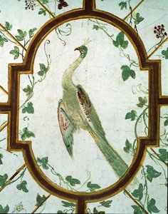 セラーの天井の詳細、Villa Medicea di Careggi写真